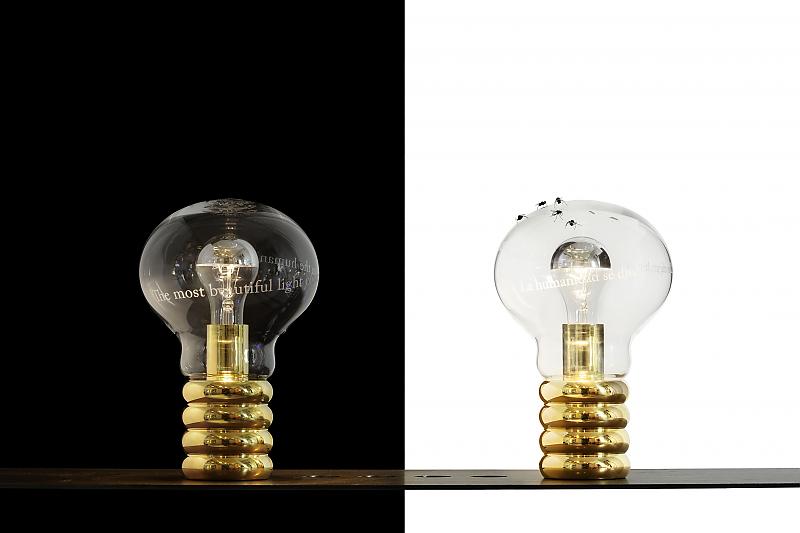 Ingo Maurer: Bulb Limited